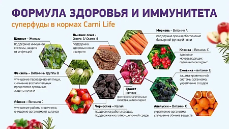 Сухой низкозерновой корм для кошек CARNI Life Sterilised, для стерилизованных, курица с гранатом и клюквой 1,5 кг