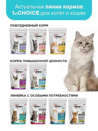1st Choice сухой корм для кошек для здоровой кожи и шерсти на лососе, 350г