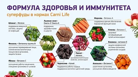 Сухой корм для взрослых кошек CARNI LIFE ADULT с ягненком, ежевикой и клюквой, 10 кг