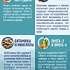 PRIME WILD GF SCOTTISH с лососем 12кг д/щенков и собак всех пород