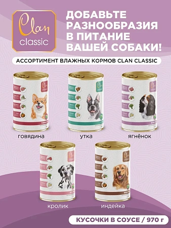 Корм для собак мелких сухой CLAN Classic Hypoallergenic 23/11 гипоаллергенный, ягненок и индейка с бурым рисом, 10кг