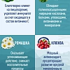 PRIME WILD GF SCOTTISH с лососем 12кг д/щенков и собак всех пород
